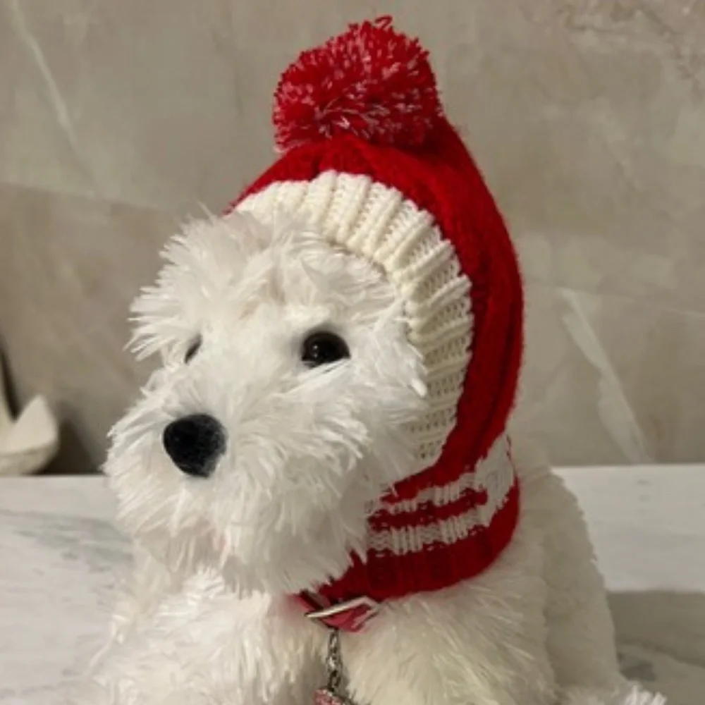 🐶 Knitted Pet Ski Hat 🐶